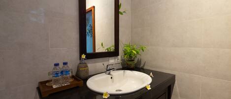 A bathroom with a white sink, a mirror, and a potted plant.