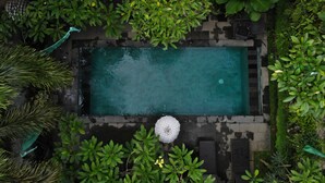 Vista aérea de una piscina rectangular rodeada de abundante vegetación y un techo de tejas.