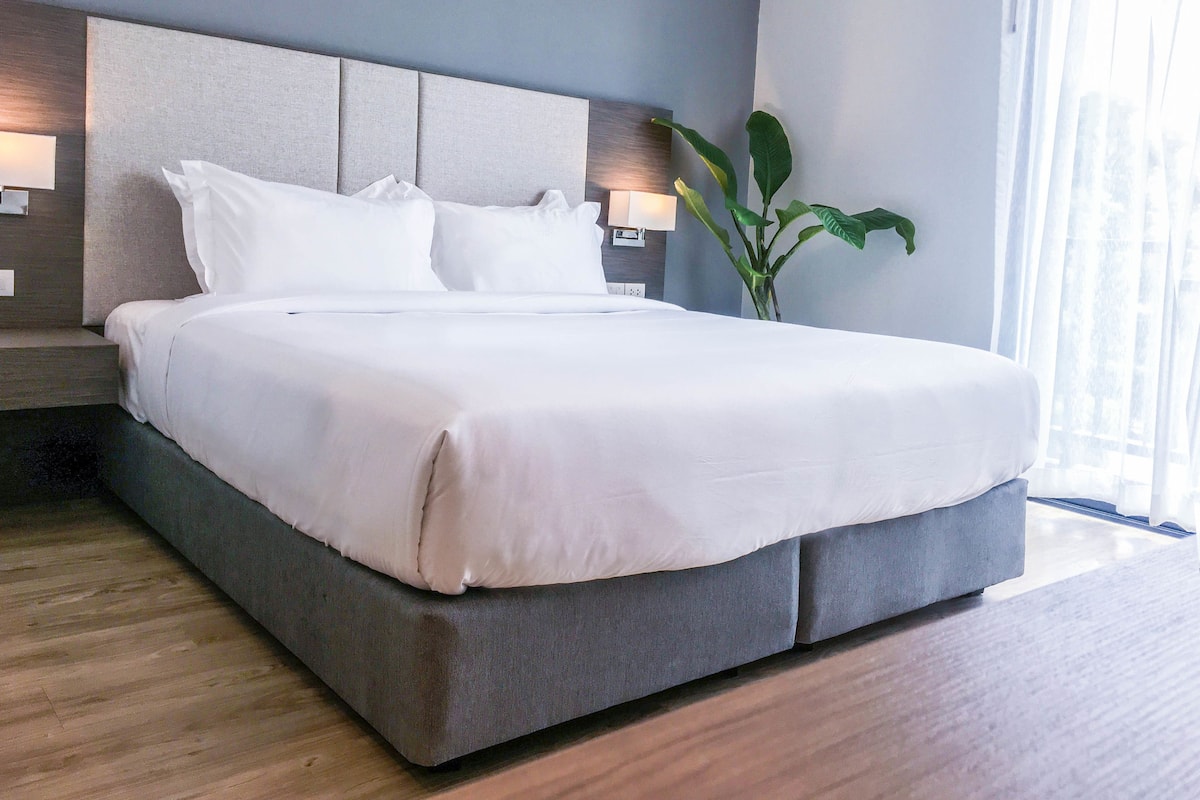 Una habitación de hotel moderna con una cama grande, cabecero, lámpara de noche y una planta en maceta.