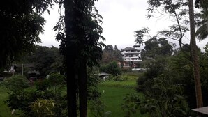 Front of property - Yoho Wellington Holiday Home (Kandy)