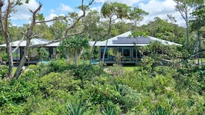 A modern house with solar panels, surrounded by dense vegetation and trees. - The Bungalows (Wongaling Beach)