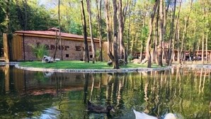 Ein Teich mit einem Schwan und einer Ente, umgeben von Bäumen und einem Gebäude mit rotem Dach.
