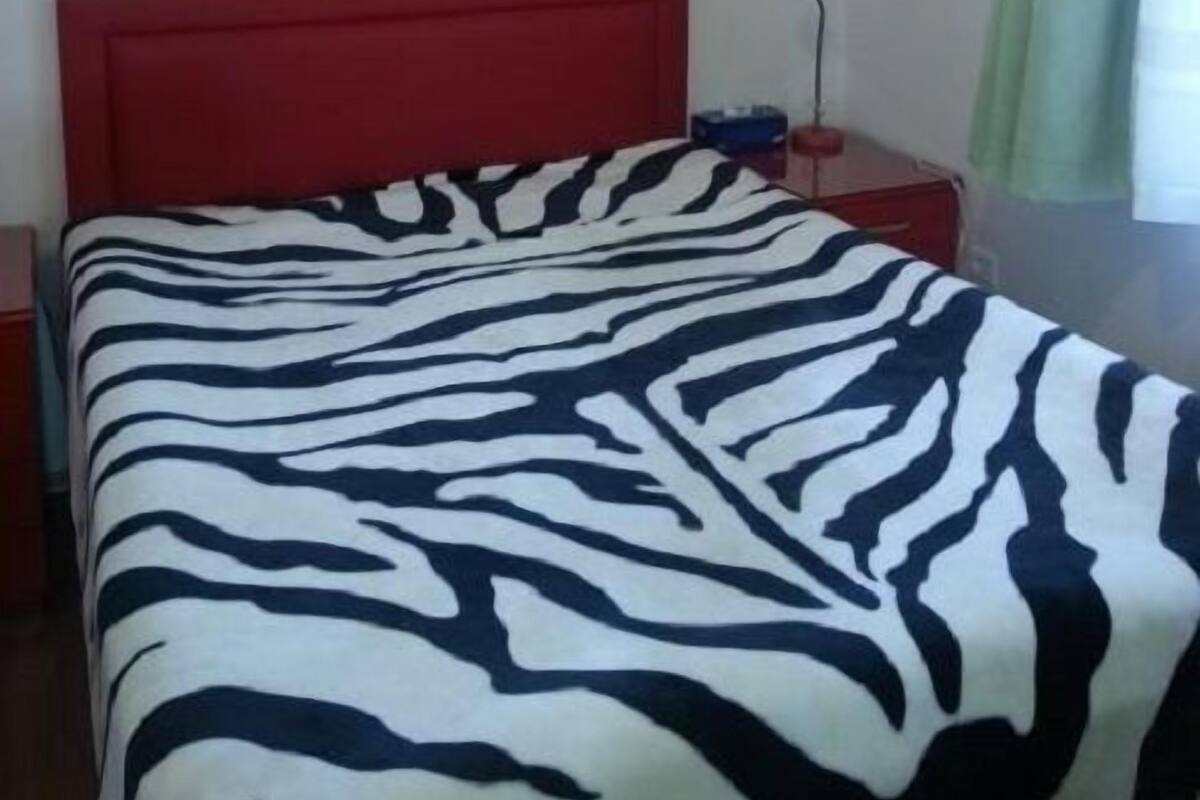 A room with a zebra-patterned bedspread, a red headboard, a bedside table with a lamp, and a window with green curtains.