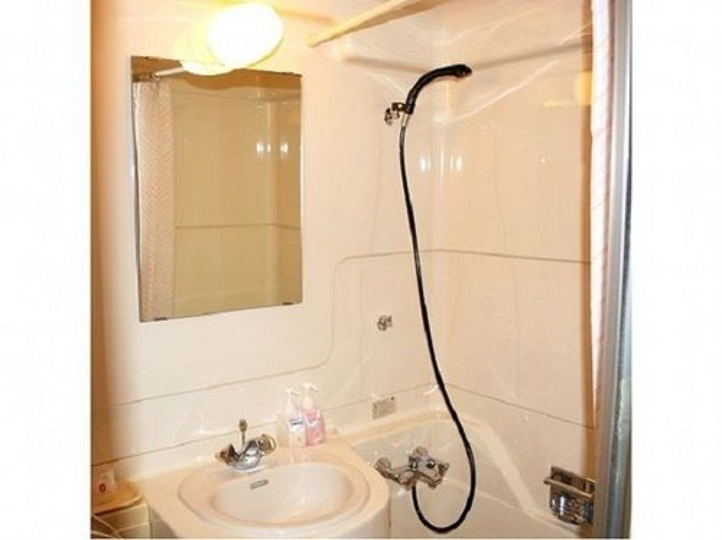 Combined shower/bathtub, deep-soaking bathtub, free toiletries