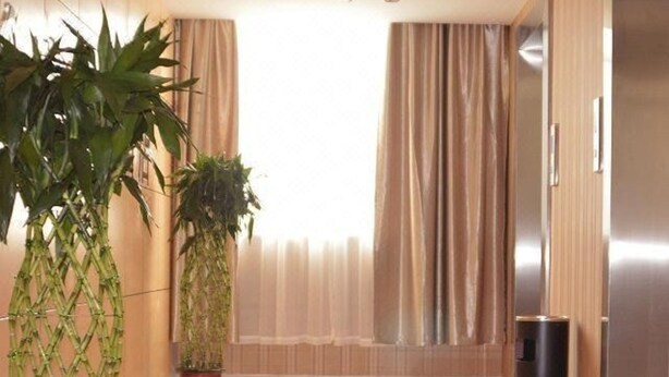 Un moderno vestíbulo de hotel con piso brillante, dos plantas en macetas, un basurero y un tapete rojo.
