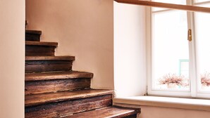 Una escalera de madera con barandilla que lleva a un ventanal con vistas a plantas en macetas afuera.