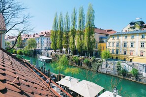 Superior Apartment, River View | View from room