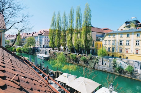 Superior Apartment, River View | View from room