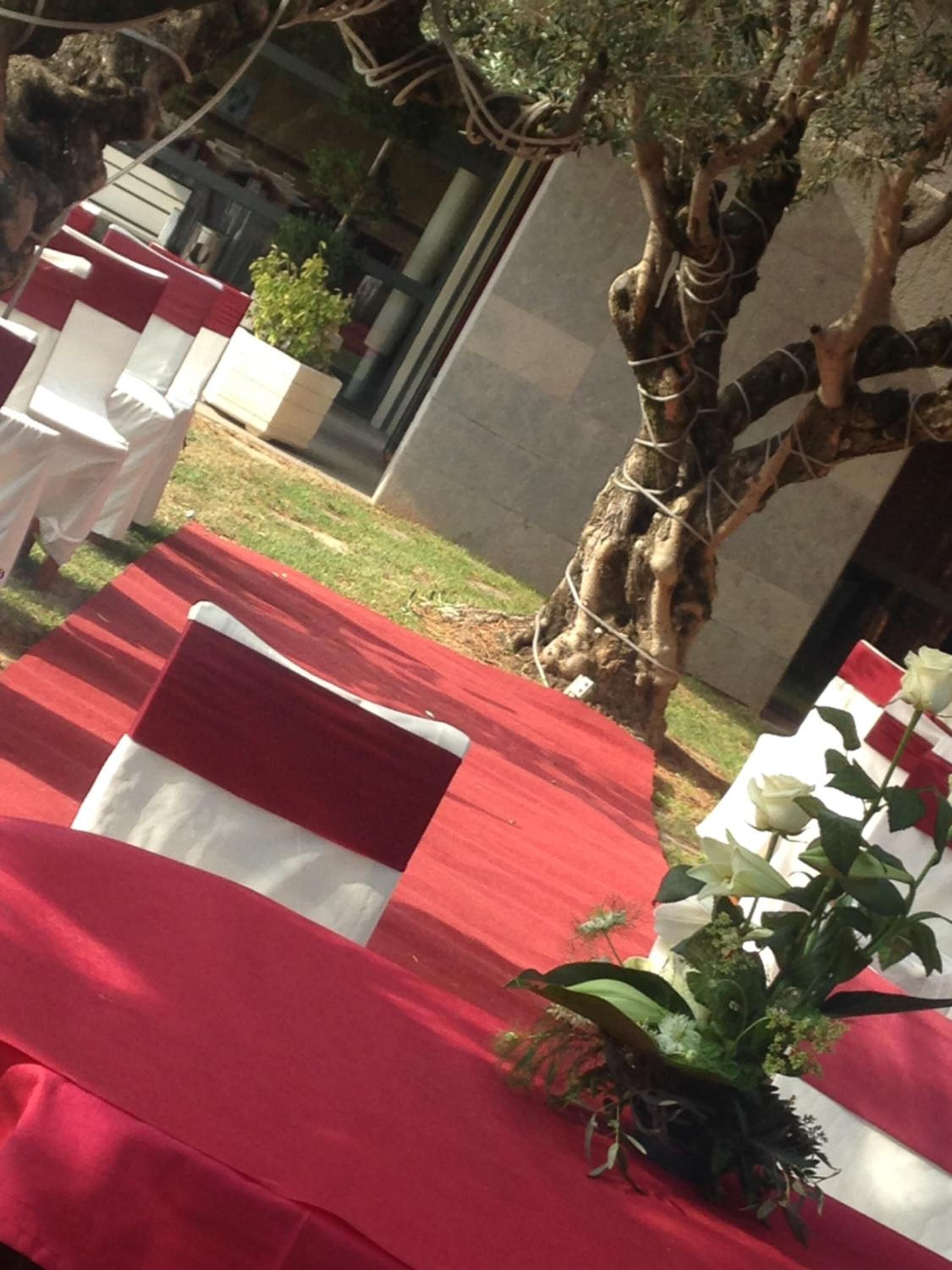 Foto - Hotel Les Torres