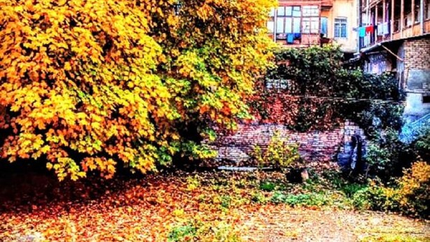Ein von Bäumen gesäumter Innenhof mit Gebäuden im Hintergrund.