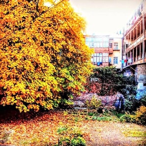 A tree-lined courtyard with buildings in the background.