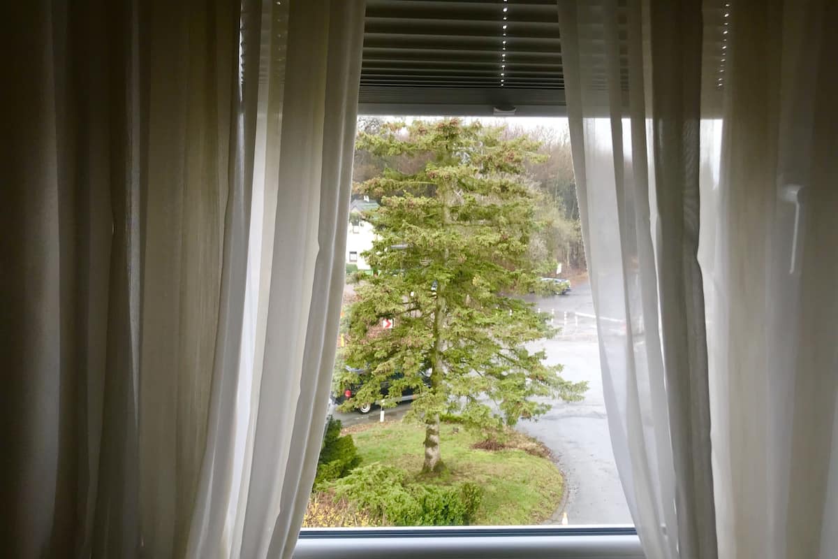 A window with sheer curtains, revealing a view of a tree and a road outside.
