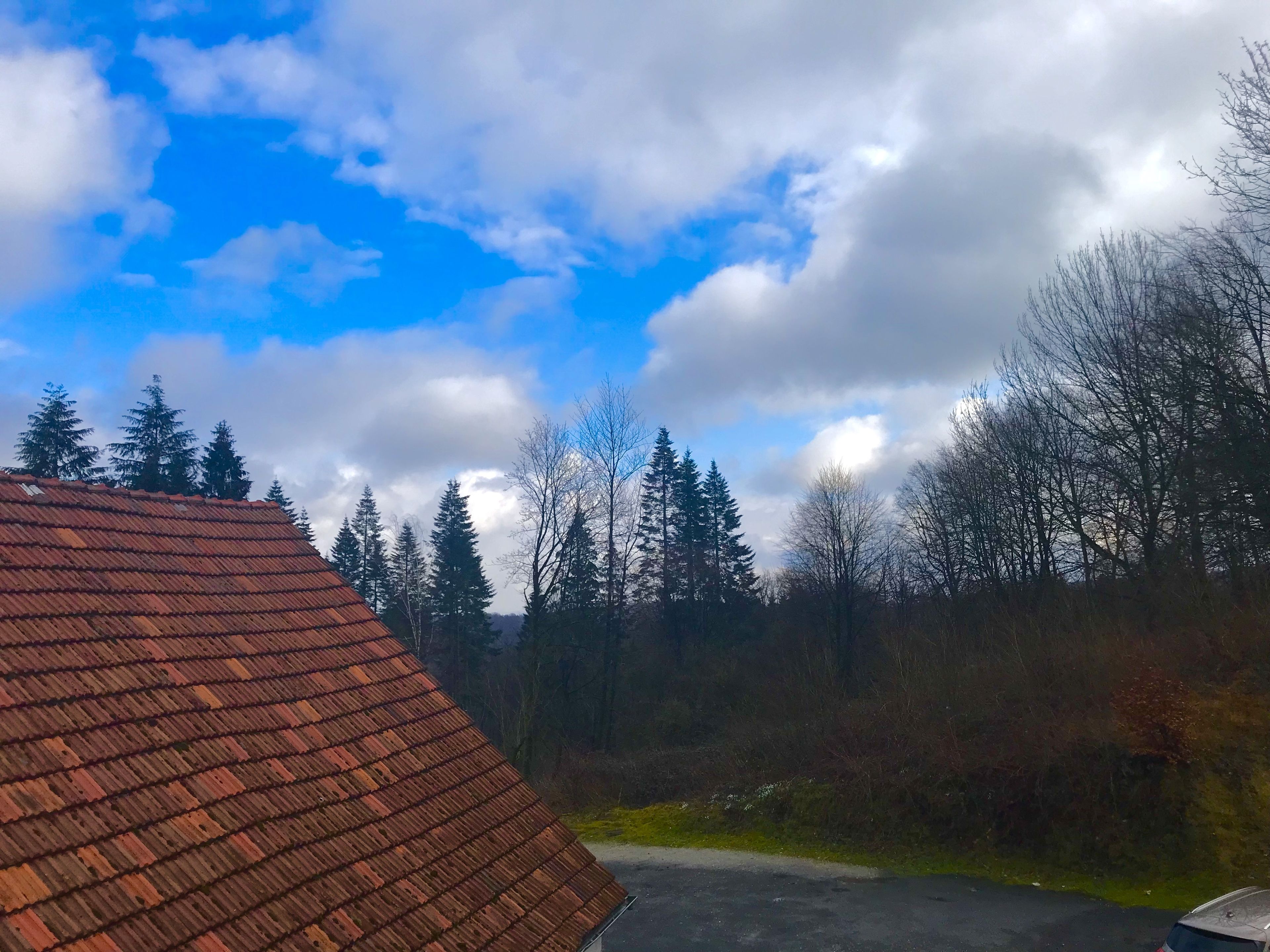 double room, private bathroom (extra bed) | view from room