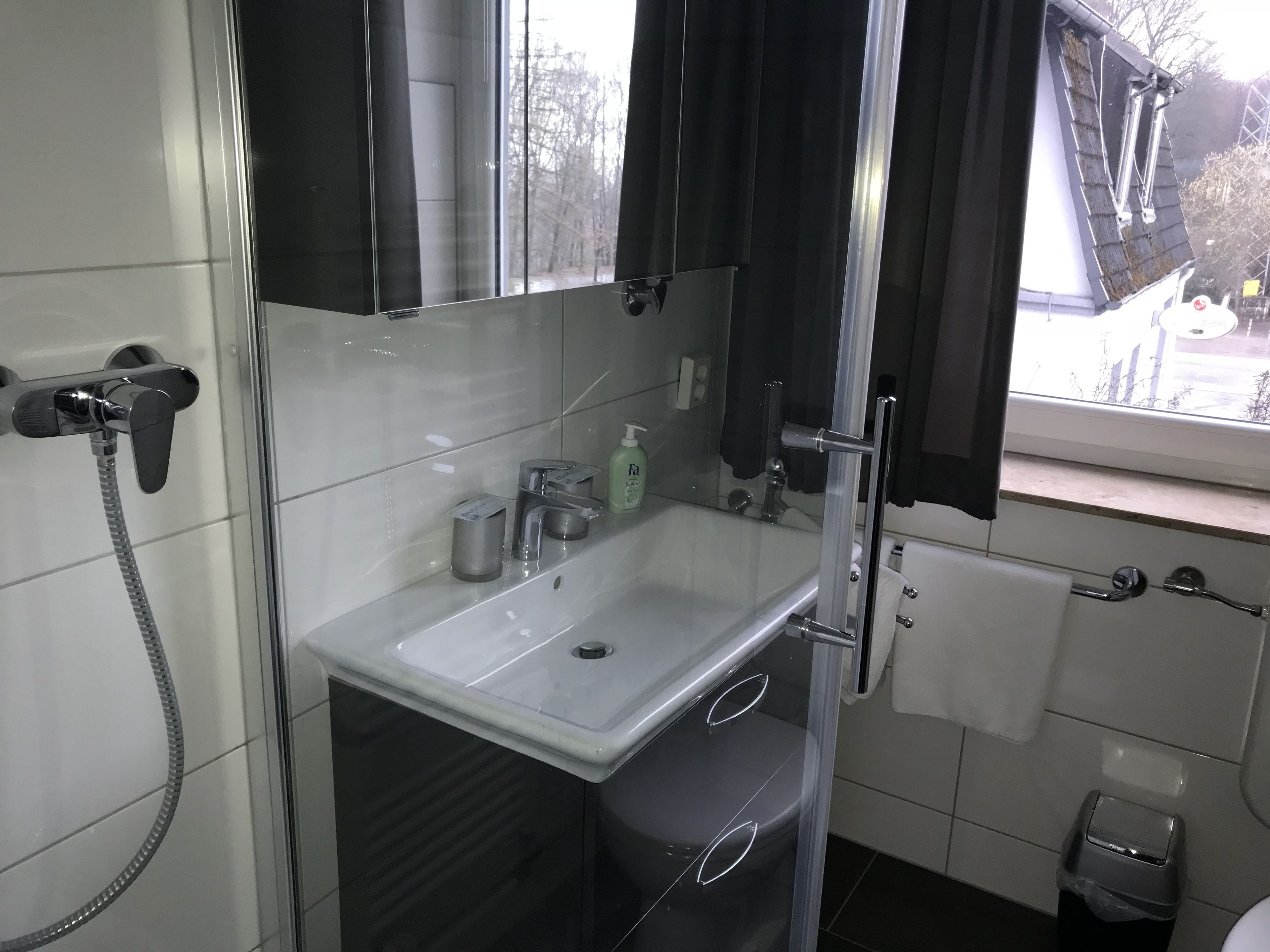 A modern bathroom with a glass shower enclosure, a white sink, and a mirror.