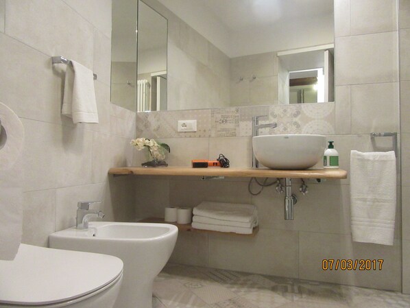 Regadera, secadora de cabello, bidet, toallas 