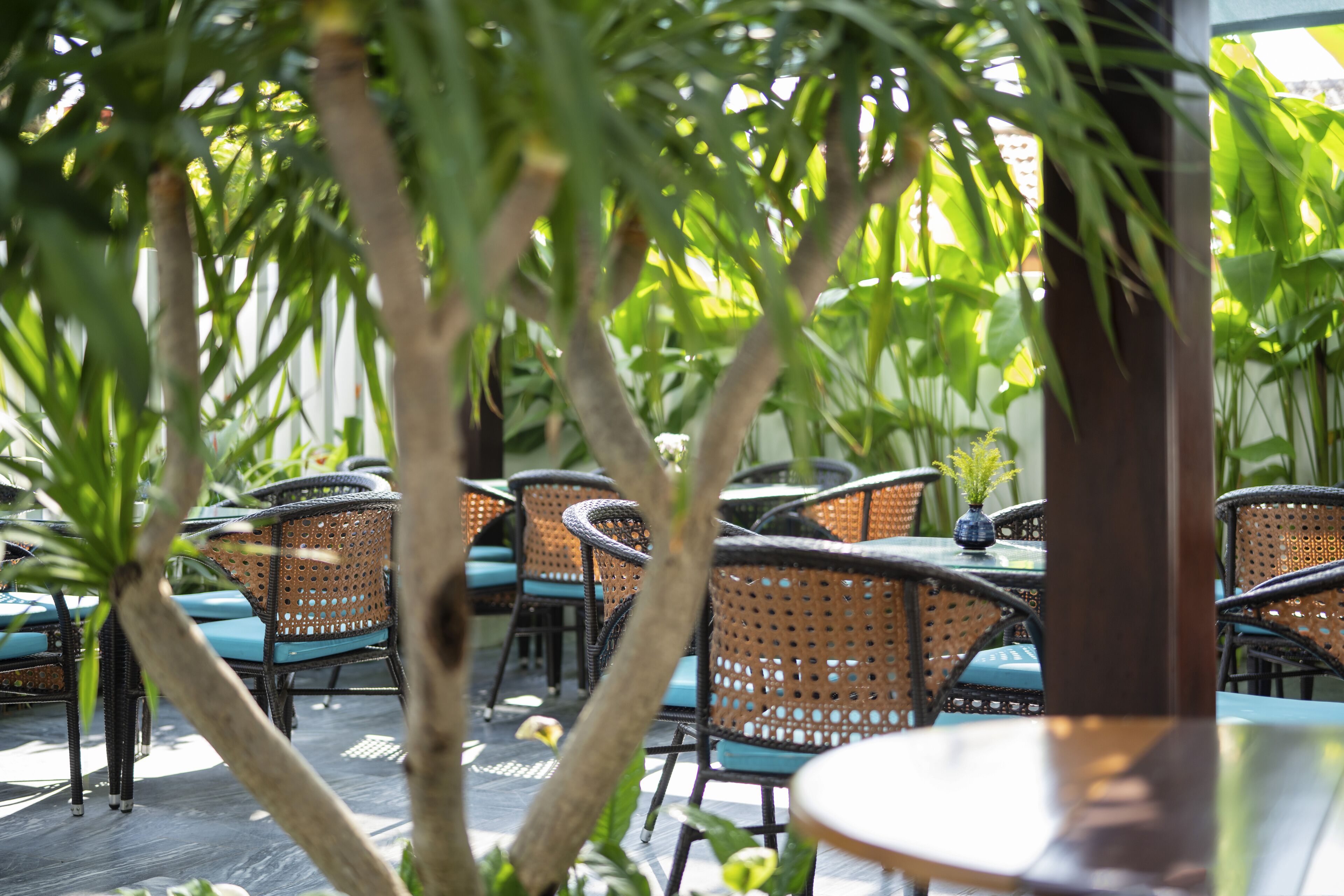 An outdoor seating area with wicker chairs and tables, surrounded by greenery.