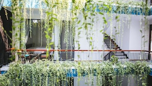 Um edifício moderno com escadas e plantas penduradas.