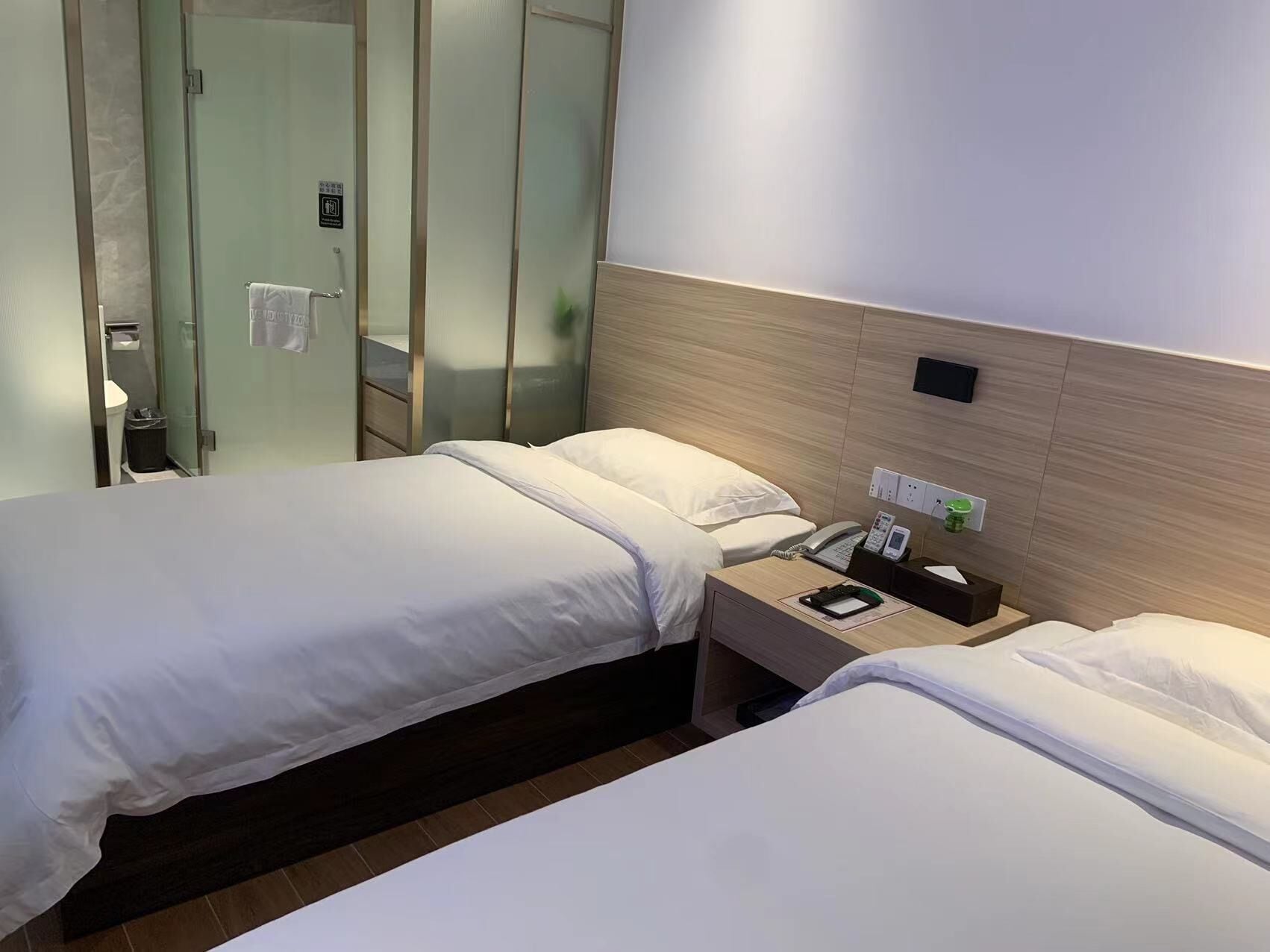 Habitación de hotel con dos camas, una mesita de noche con un teléfono y una planta pequeña, y una puerta de cristal que da a un baño.