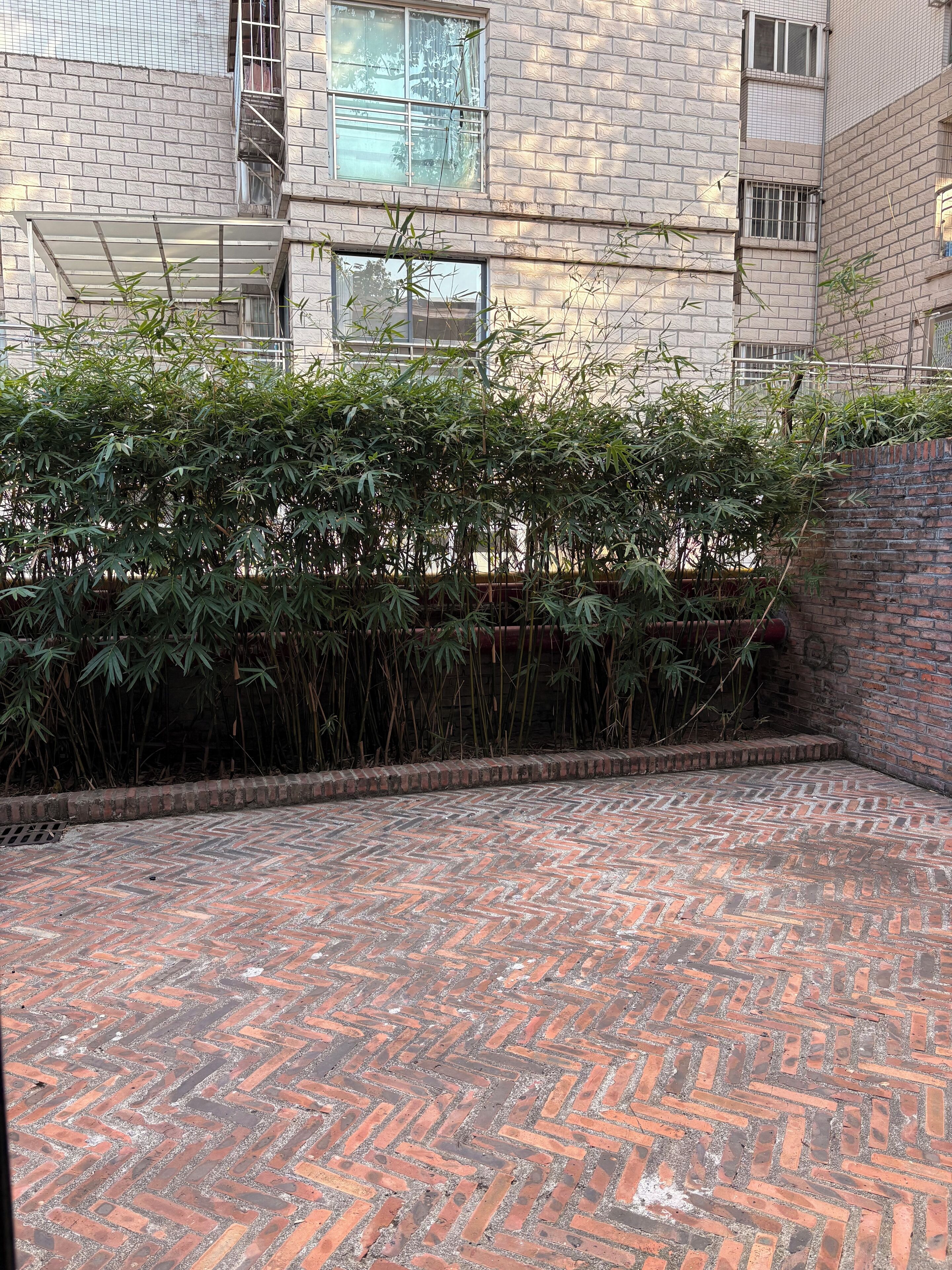 Un patio con piso de ladrillo, seto de bambú y pared de ladrillo.