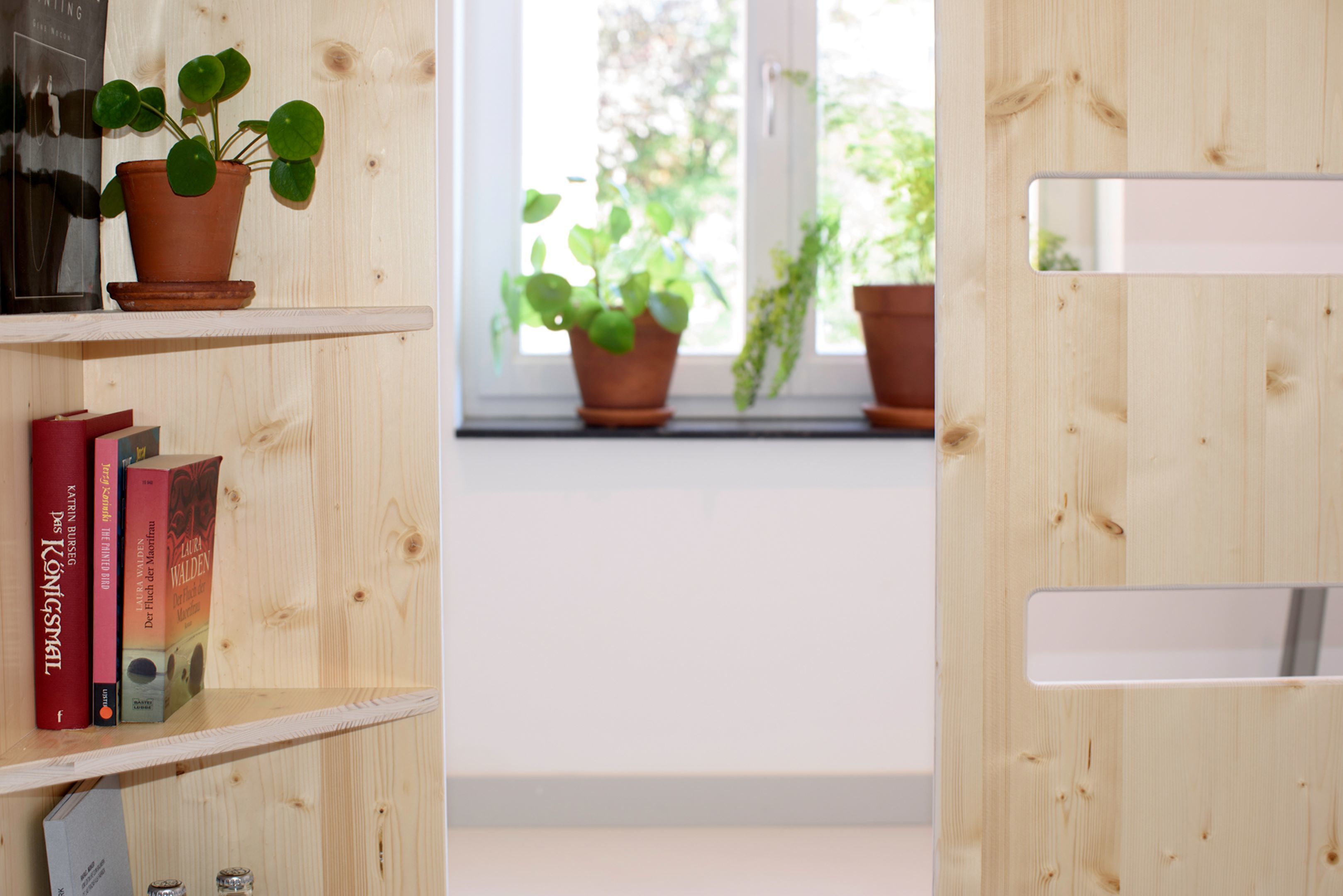 A wooden bookshelf with books and potted plants.