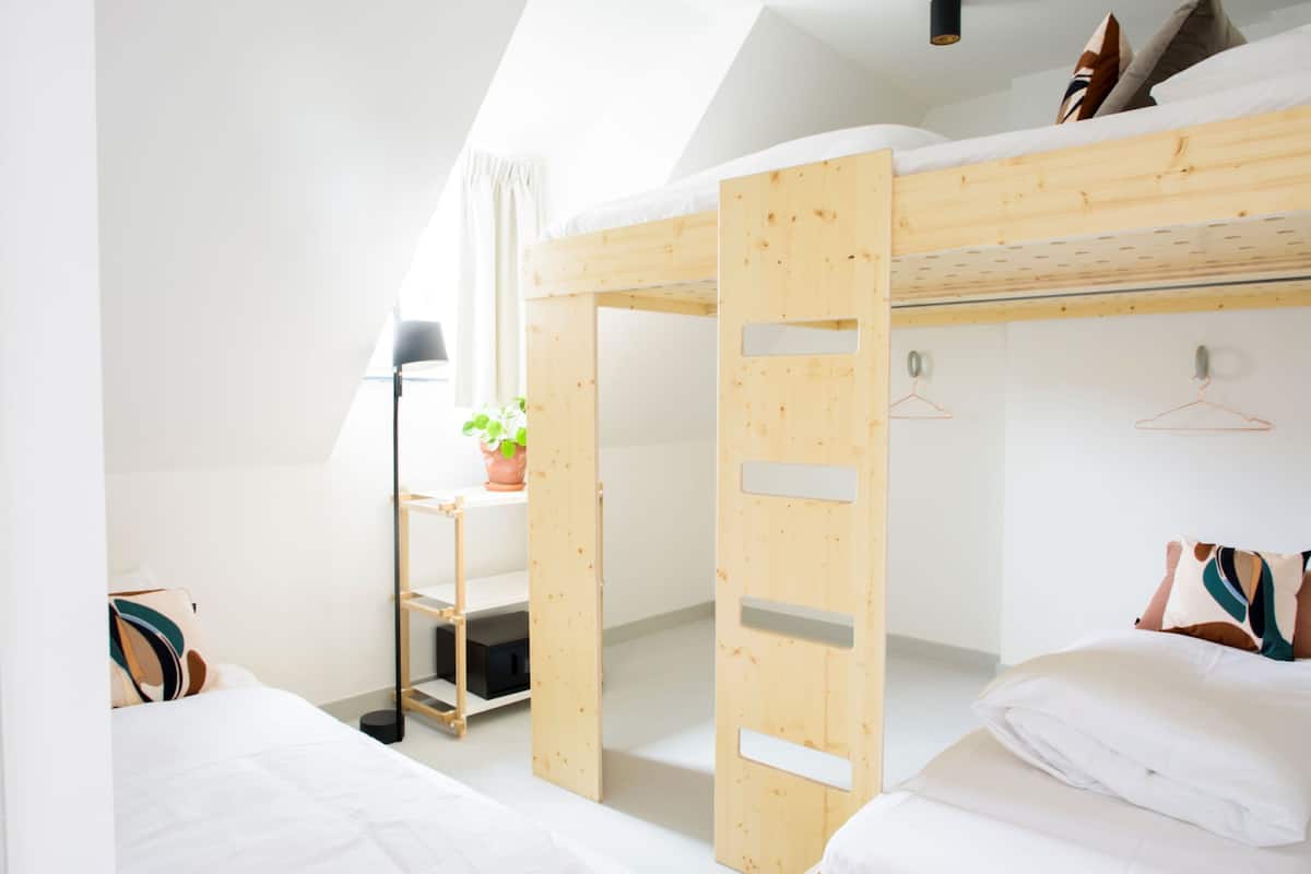 A dorm-style room with bunk beds, a desk, and a plant.
