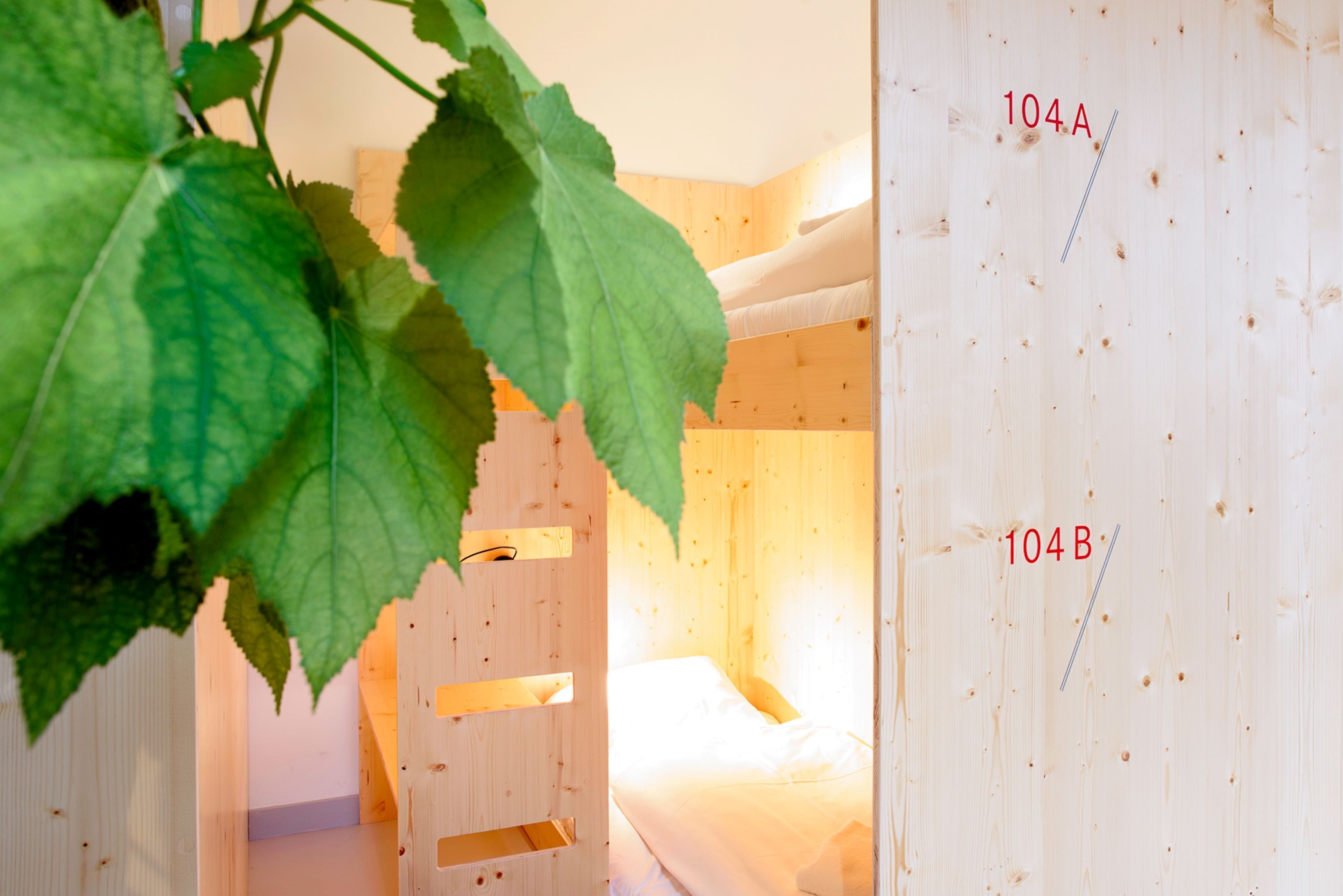 Una habitación de madera con literas y una puerta visible con la etiqueta 104A.