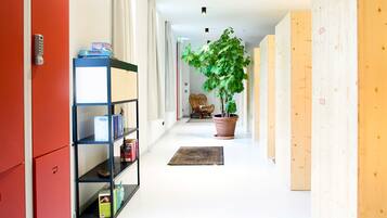 Een gang met een boekenkast, een potplant en een rieten stoel.