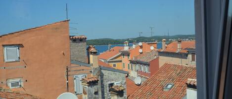 Appartamento, 1 camera da letto | Vista dalla camera