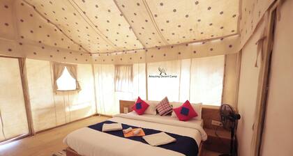 Amazing Desert Camp
