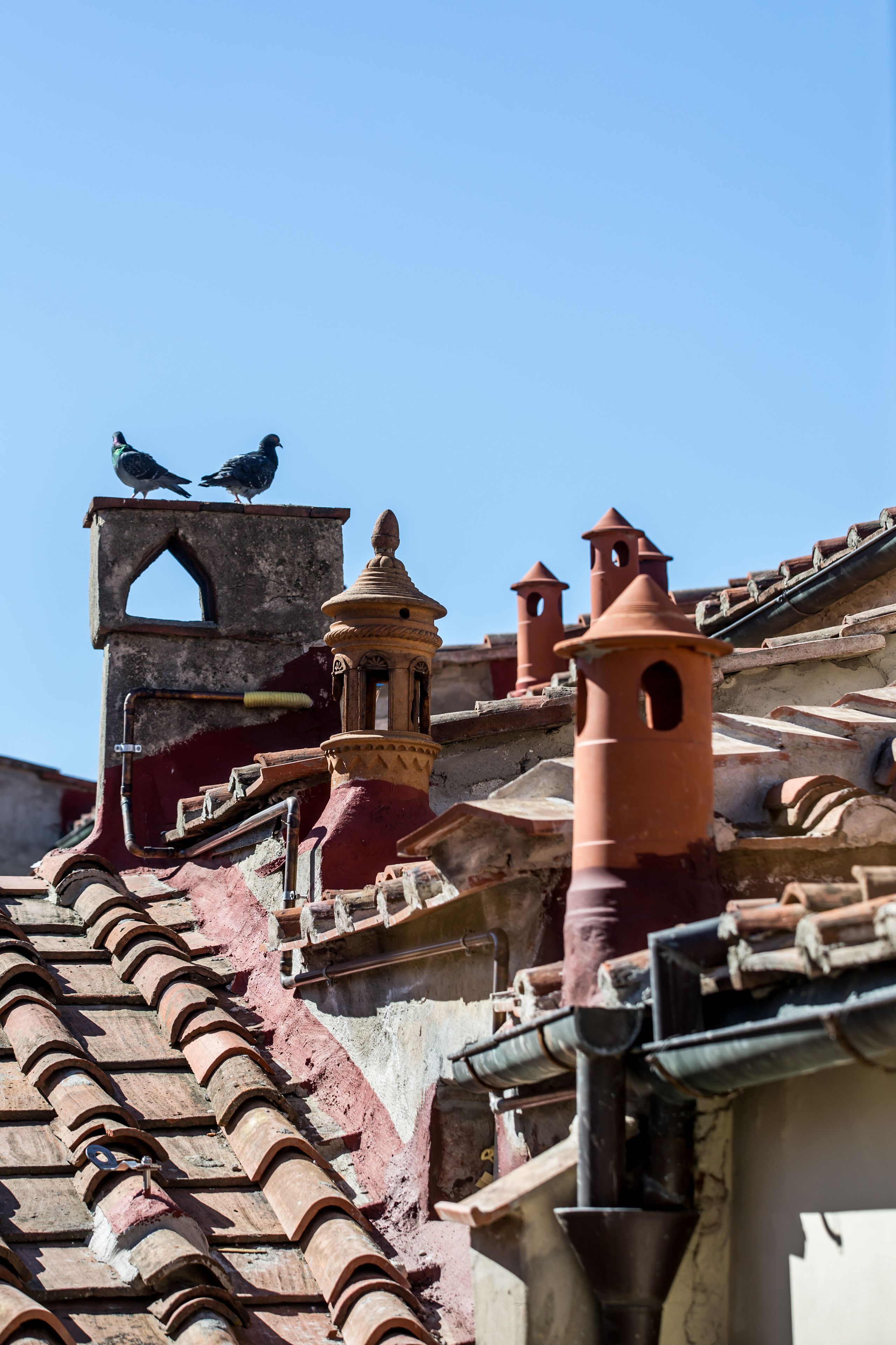 Photo - Oltrarno Splendid