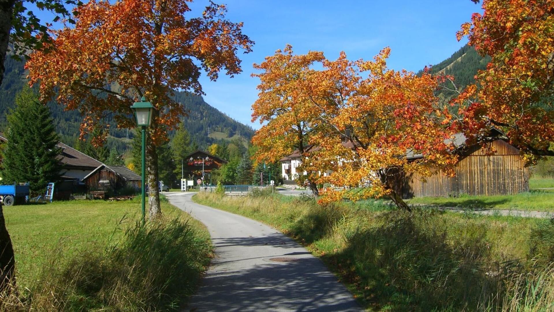 A rural road with buildings on either side, surrounded by autumn foliage and mountains in the background.