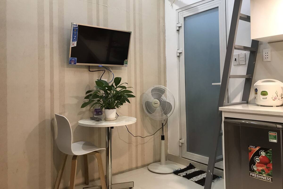 A small room with a television mounted on the wall, a fan, a small table with a potted plant, a white chair, and a refrigerator with a 'Freshness' sticker.
