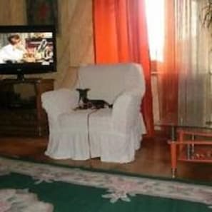 Flat-screen TV