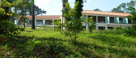 A building with a tiled roof and multiple windows, surrounded by lush greenery and tall trees.