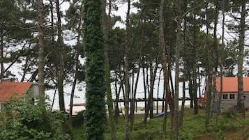 A forested area with tall trees and a building with a red roof.