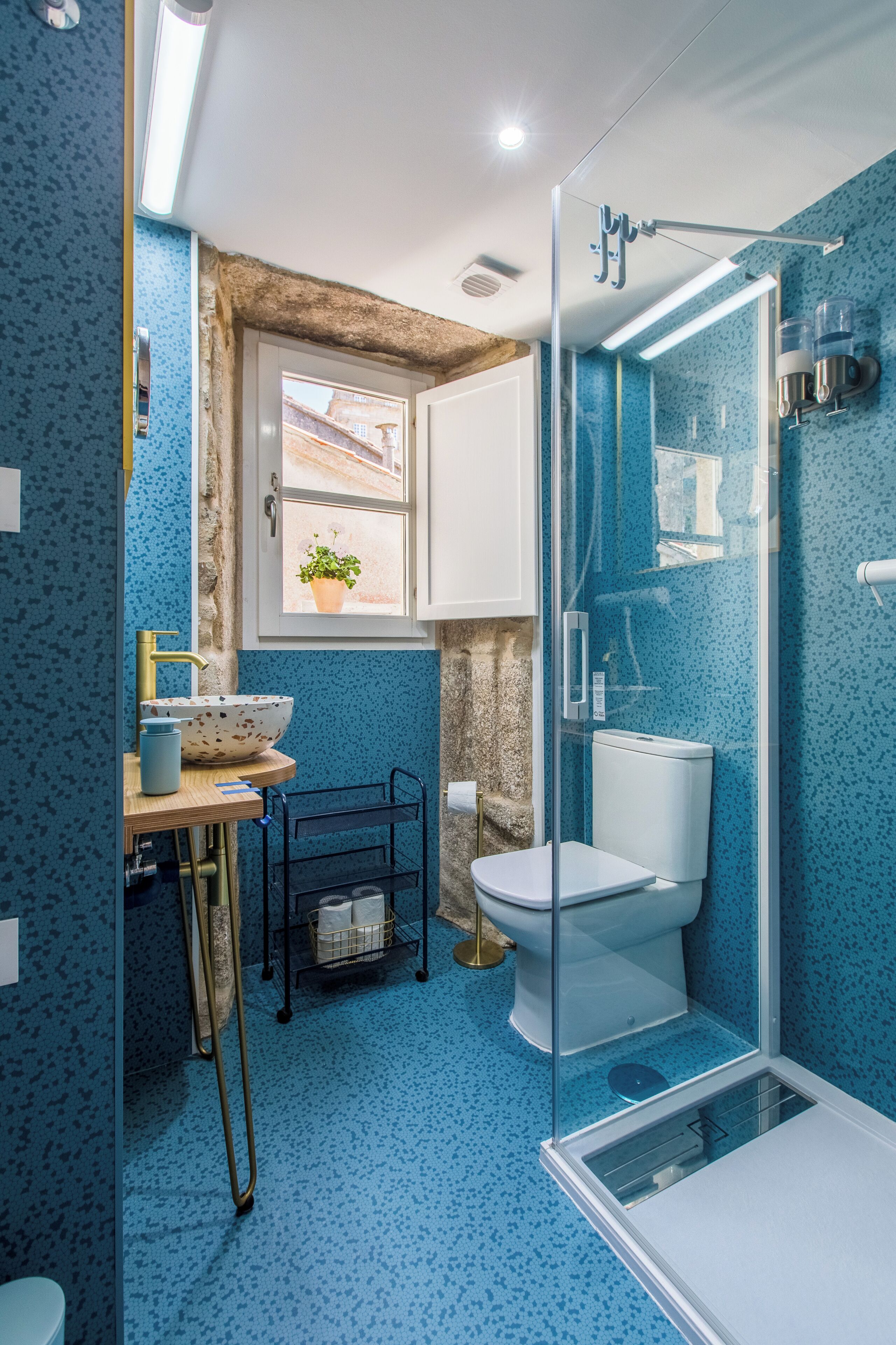 A bathroom with a blue speckled wall, a glass shower enclosure, a white toilet, and a window with a potted plant.