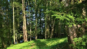 庭園