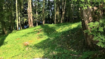 Taman