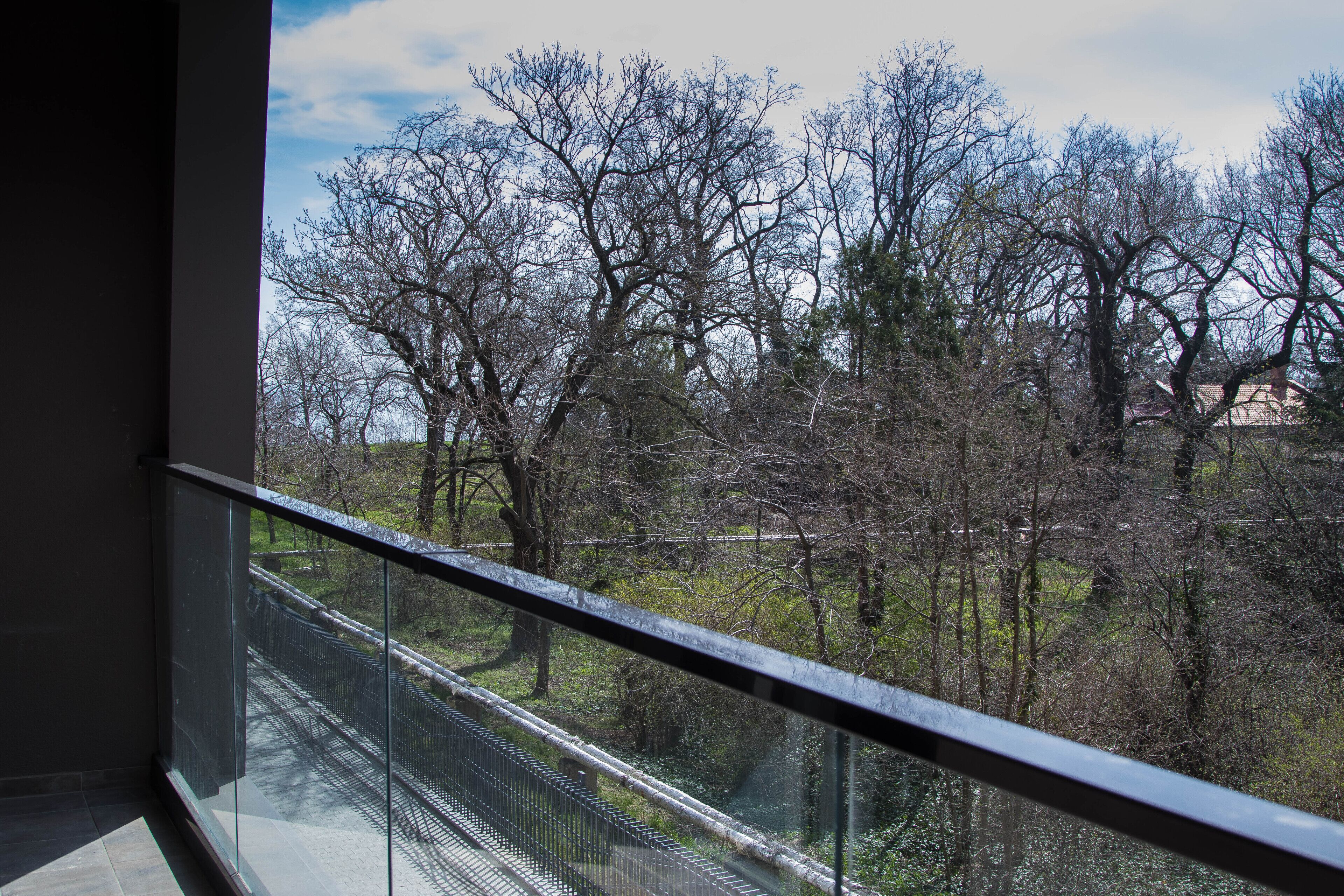 A balcony with a glass railing overlooking a forested area with trees and a distant building.