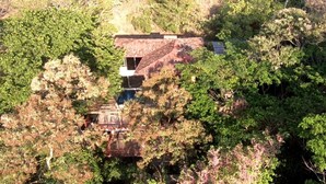 Unclassified image, 2 of 42, button - Coravida (Quepos)