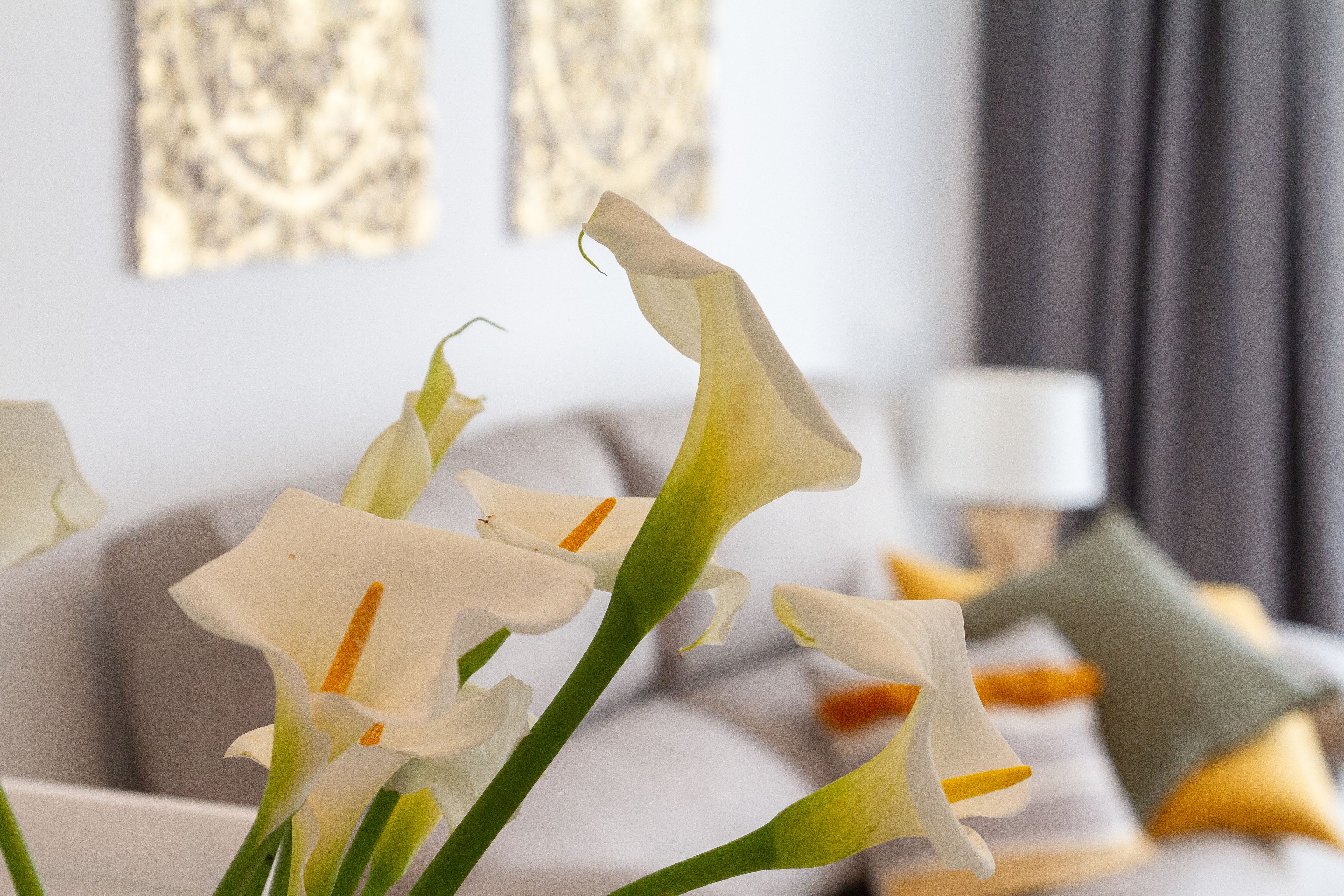 Un gros plan de lys blancs, dans une pièce où l’on aperçoit un canapé gris et une lampe en arrière-plan.