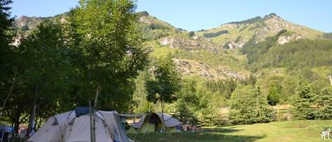 Un terrain de camping avec plusieurs tentes installées dans une zone herbeuse, avec des arbres et des montagnes en arrière-plan.