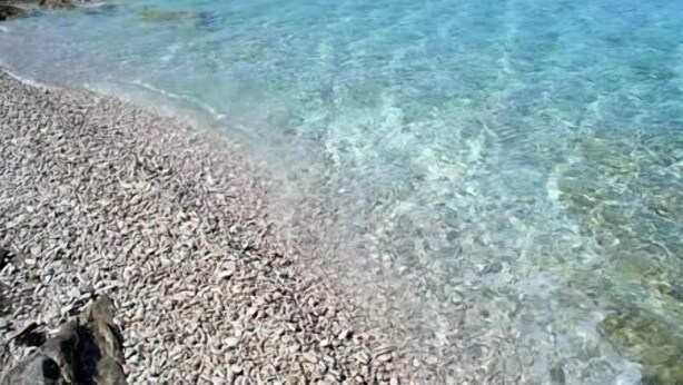 Uma praia de pedras com águas cristalinas e terreno rochoso.