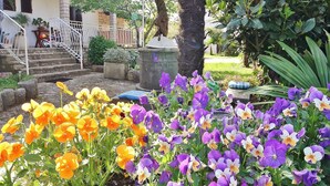 Um jardim com diversas flores, um banco de pedra e uma escadaria que leva a um edifício.