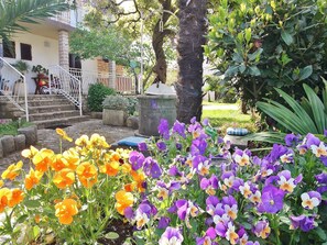 Departamento, 1 cama matrimonial | Áreas de la propiedad