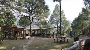 Property grounds - Kasauli Hills Resort (Kasauli)