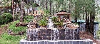 Kasauli Hills Resort