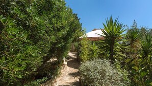 A stone pathway leading to a building with a white roof, surrounded by dense greenery and a small tree. - Pajara Annelies (Salve)