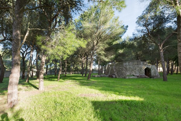 A stone structure surrounded by trees in a grassy area.