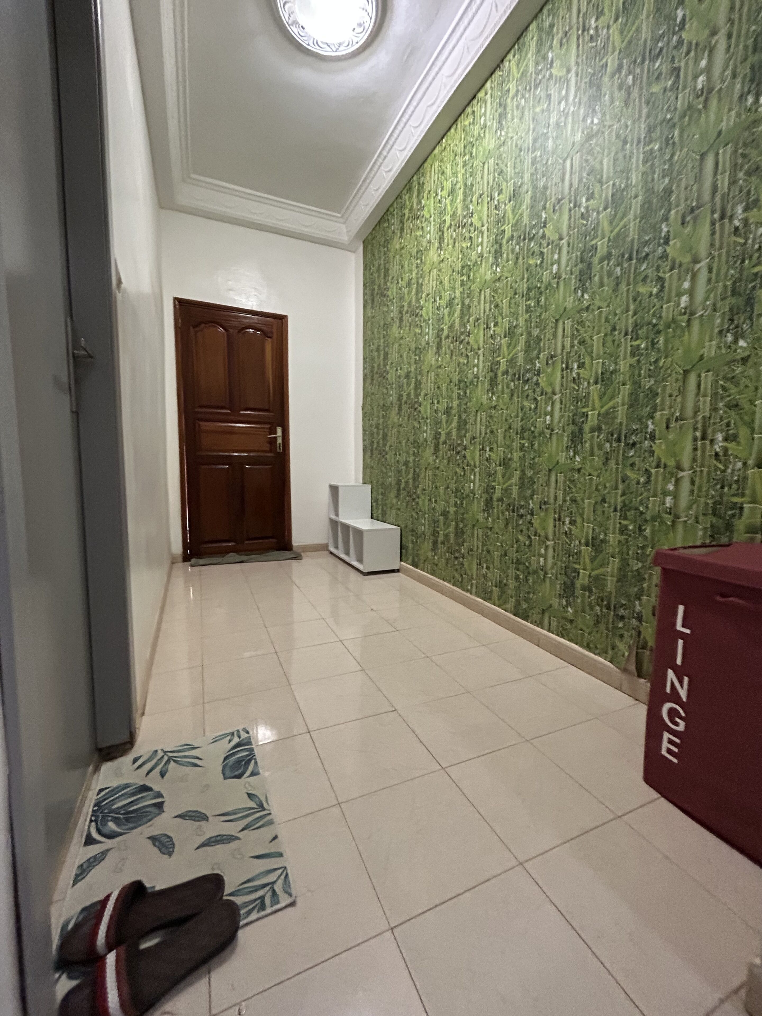 A hallway with a wooden door, a white shelf, a patterned rug, and a trash bin labeled "LINGE".